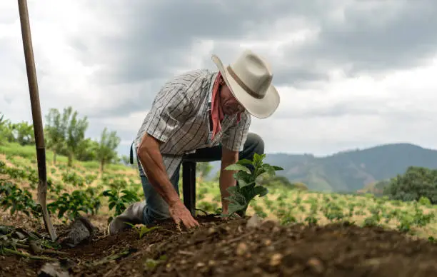 Travailleurs agricoles européens