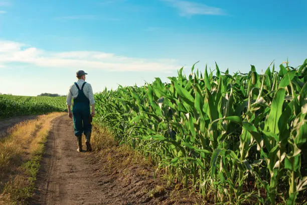 travailleurs agricoles européens