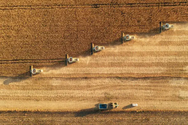 Intérim en Europe agroalimentaire