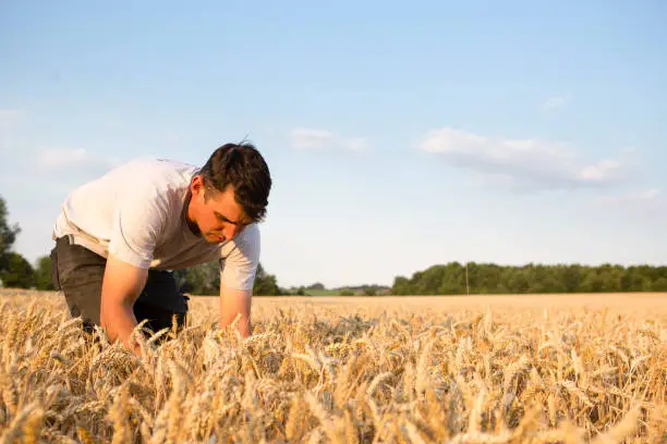 Enjeux de l'Intérim dans le Secteur Agricole en Europe