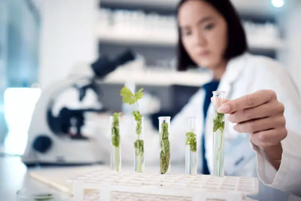 Intérim dans le Secteur de la Recherche Scientifique